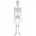 Скелет  90 см (светиться в темноте)