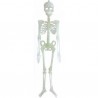 Скелет  90 см (светиться в темноте)